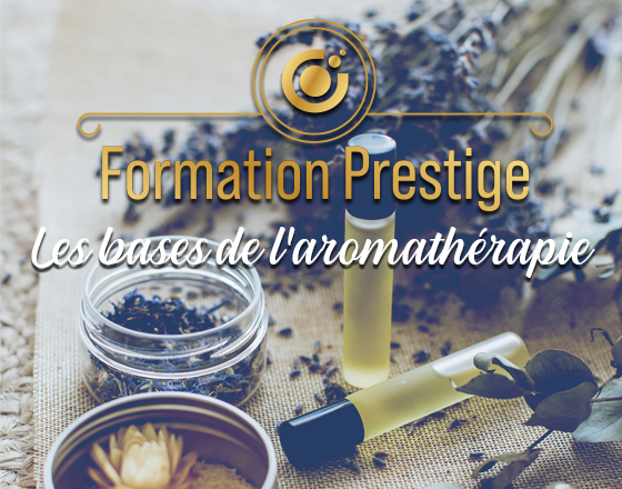 aroma-lyon-site.png