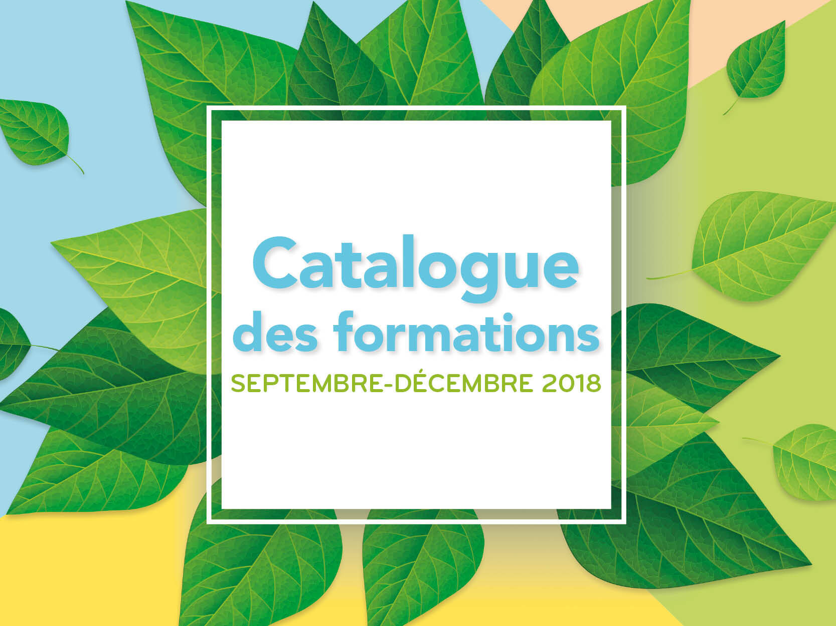 image_catalogue.jpg